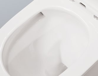 24001 Silent design Patented product bidet back to wall rimless, p/s-trap