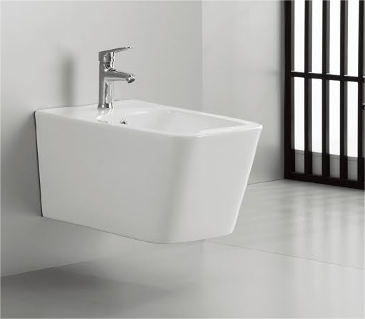 40004 Prodotto brevettato bidet sospeso senza brida, sifone