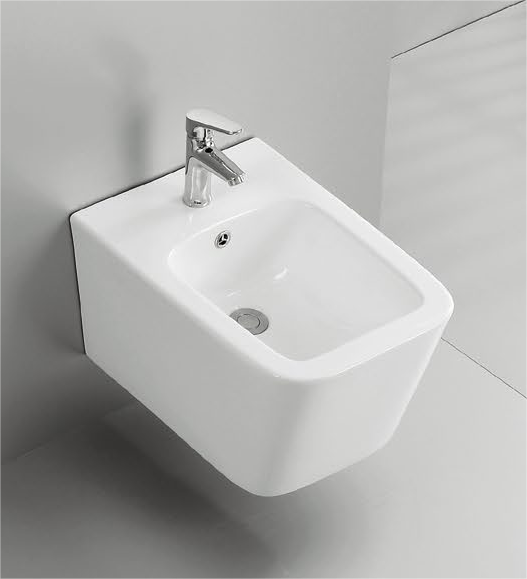 42004 Patented product wall hang bidet rimless, p-trap