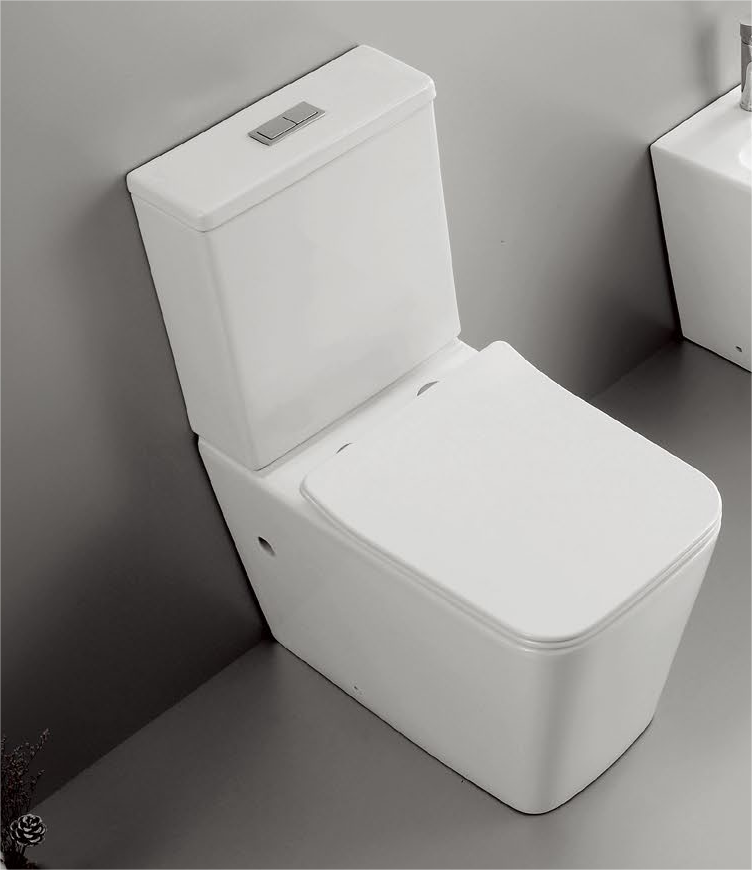 Ailin set Patented product split floor landing toilet, bidet rimless, p-trap