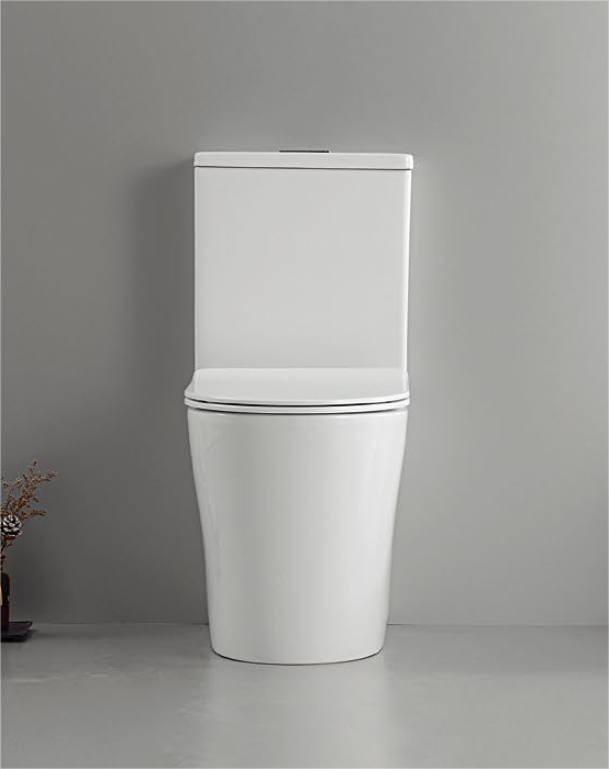 Risa set Split floor-standing toilet&bidet, rimless, s/p-trap