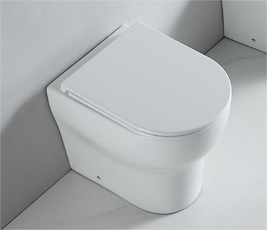 62001 Patented product WC Back to wall rimless, p/s-trap