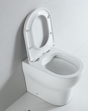 62001 Patented product WC Back to wall rimless, p/s-trap