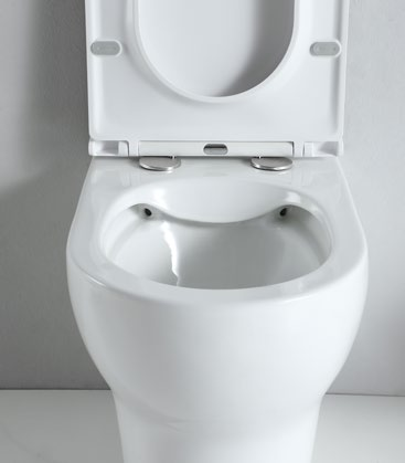 62001 Patented product WC Back to wall rimless, p/s-trap