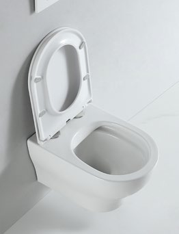 62002 Patented product wall hang toilet rimless, flush