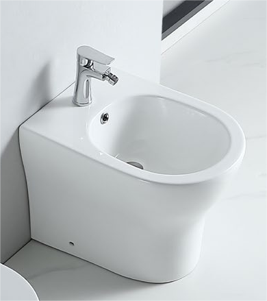 62003 Patented product bidet back to wall rimless, p/s-trap