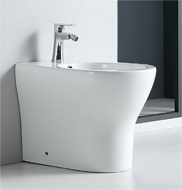62003 Patented product bidet back to wall rimless, p/s-trap