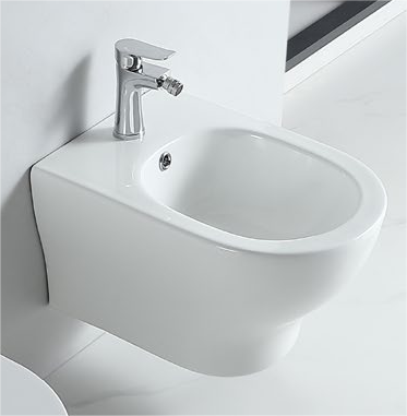 62004 Patented product wall hang bidet rimless, p-trap