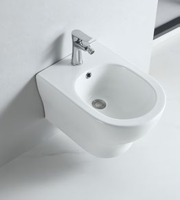62004 Patented product wall hang bidet rimless, p-trap