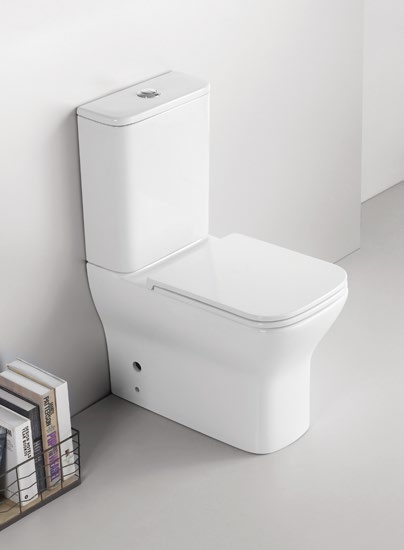 80005/80006 Patented product split toilet rimless, p/s-trap