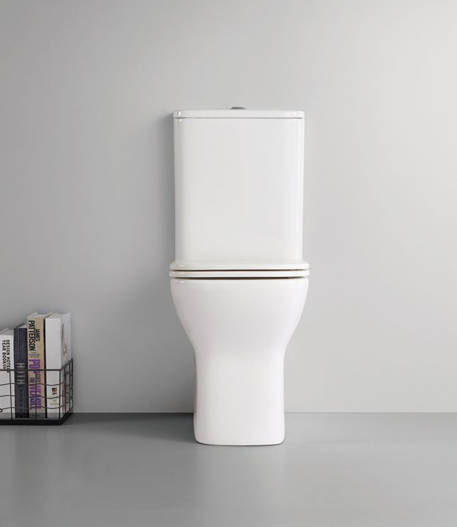 80005/80006 Patented product split toilet rimless, p/s-trap