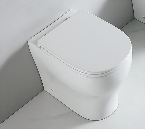 90008 Product size suitable for all disabled people, compatible with all market standards, 500mm high special care floor-standing toilet for disabled people