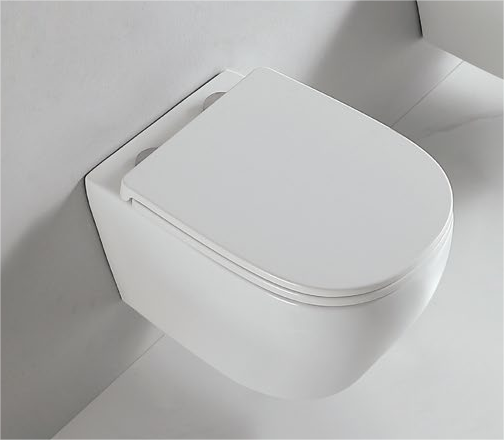 90002 Prodotto brevettato Wc sospeso senza brida, scarico