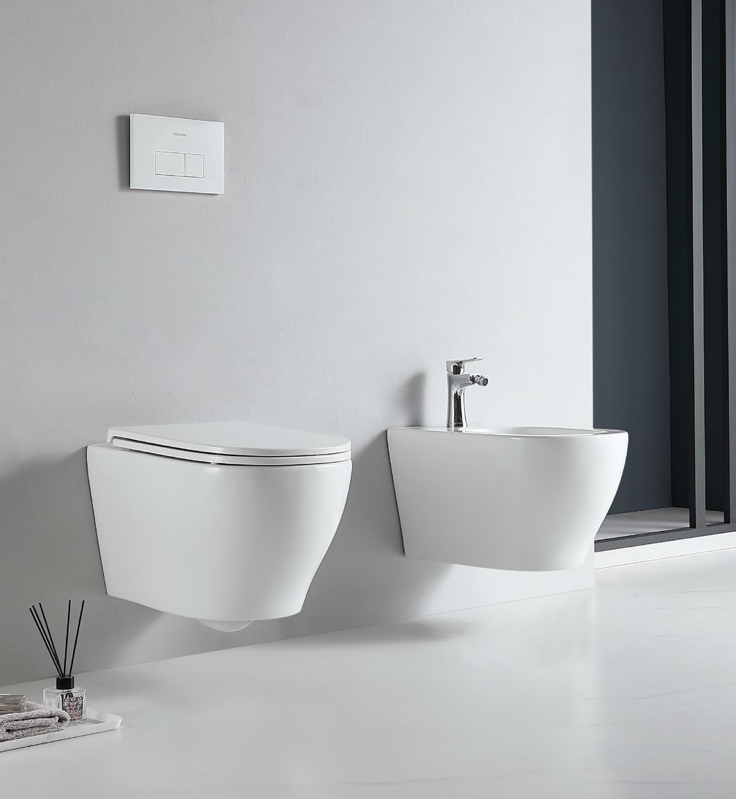 90004 Patented product wall hang bidet rimless, p-trap