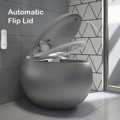 New arrival Sanitary Ware Ceramic CAPSULE CREATIVITY INTELLIGENT BEAUTIFUL DESIGN Watermark Matte grey Egg Shaped smart toliet