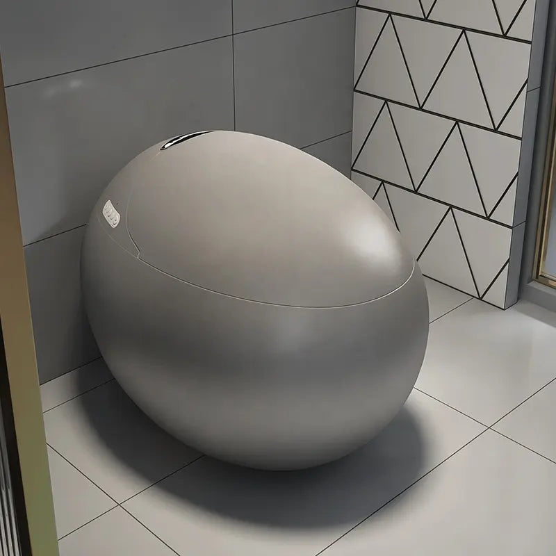 New arrival Sanitary Ware Ceramic CAPSULE CREATIVITY INTELLIGENT BEAUTIFUL DESIGN Watermark Matte grey Egg Shaped smart toliet