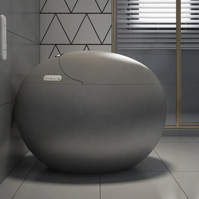 New arrival Sanitary Ware Ceramic CAPSULE CREATIVITY INTELLIGENT BEAUTIFUL DESIGN Watermark Matte grey Egg Shaped smart toliet