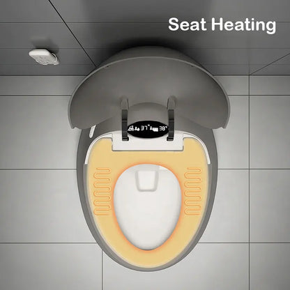 New arrival Sanitary Ware Ceramic CAPSULE CREATIVITY INTELLIGENT BEAUTIFUL DESIGN Watermark Matte grey Egg Shaped smart toliet