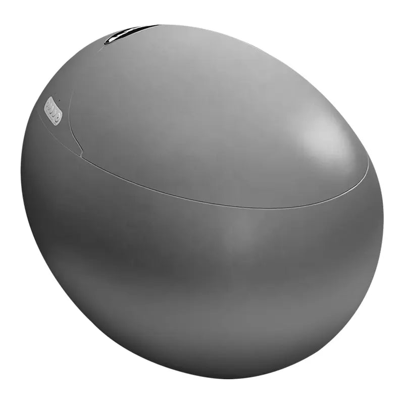 New arrival Sanitary Ware Ceramic CAPSULE CREATIVITY INTELLIGENT BEAUTIFUL DESIGN Watermark Matte grey Egg Shaped smart toliet