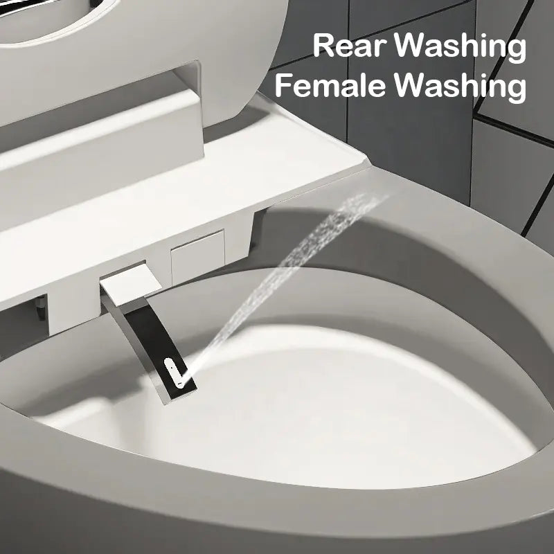 New arrival Sanitary Ware Ceramic CAPSULE CREATIVITY INTELLIGENT BEAUTIFUL DESIGN Watermark Matte grey Egg Shaped smart toliet