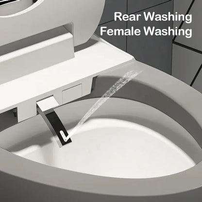 New arrival Sanitary Ware Ceramic CAPSULE CREATIVITY INTELLIGENT BEAUTIFUL DESIGN Watermark Matte grey Egg Shaped smart toliet